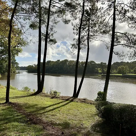 Du Golfe - Vue